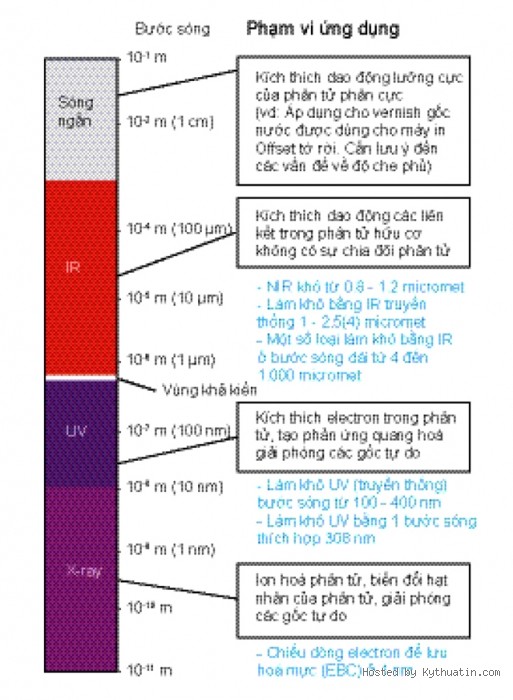 cong ty in, in an, c&ocirc;ng ty in, in ấn